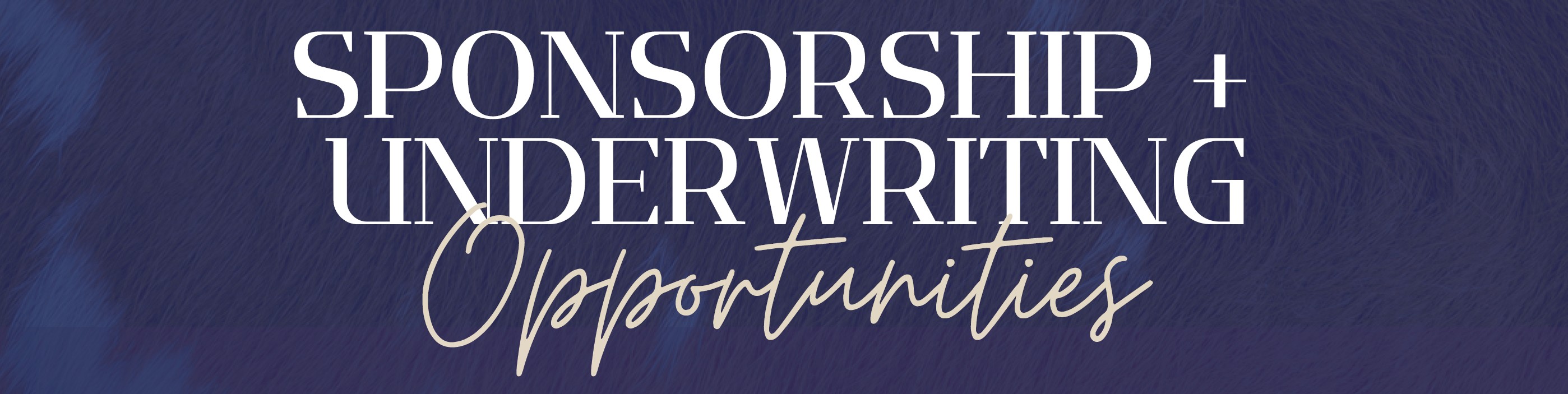 sponsorship banner